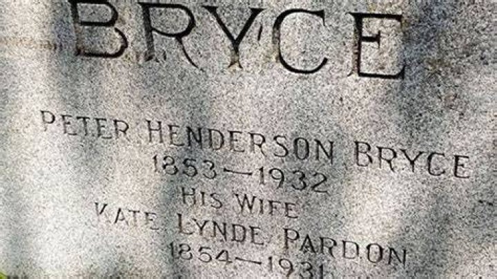 10 Facts About Peter Bryce FactSnippet