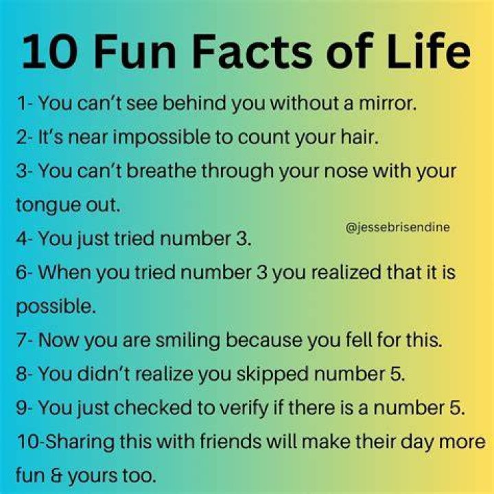 10 Fun Facts About Bailey Zimmerman Country Now