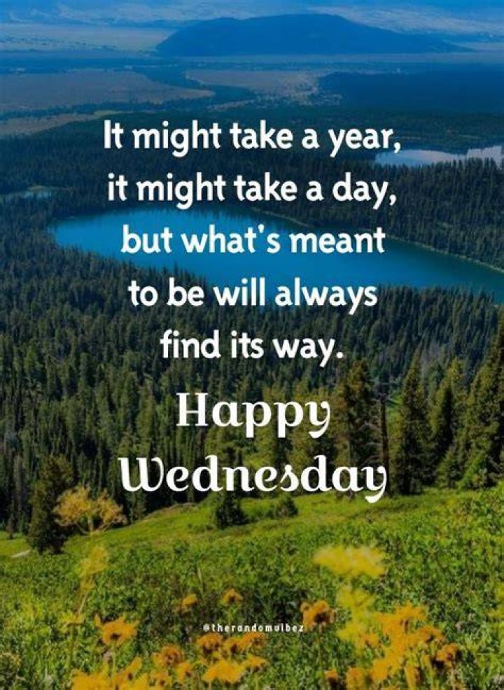 110 Best Wednesday Motivational Quotes for Work