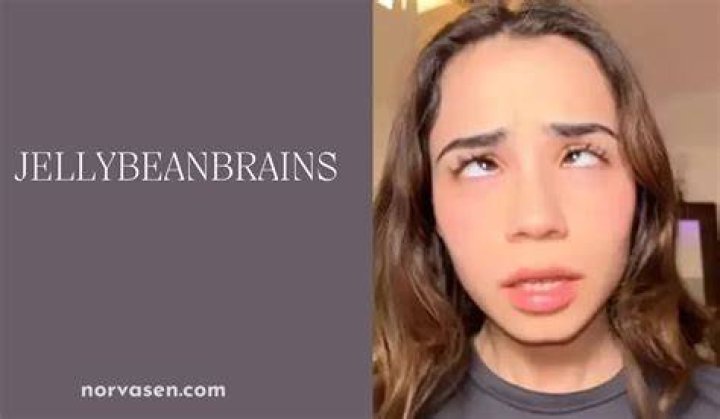 🦄 jellybeanbrainsof jellybeanbrainS TikTok