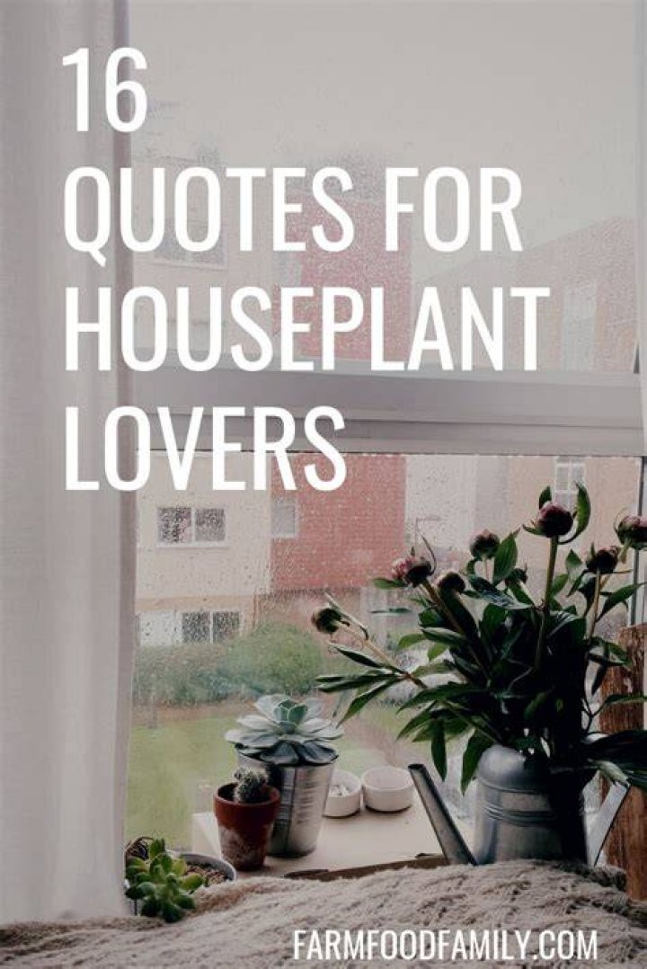 16 Quotes for Houseplant Lovers (Indoor Gardening) FarmFoodFamily in