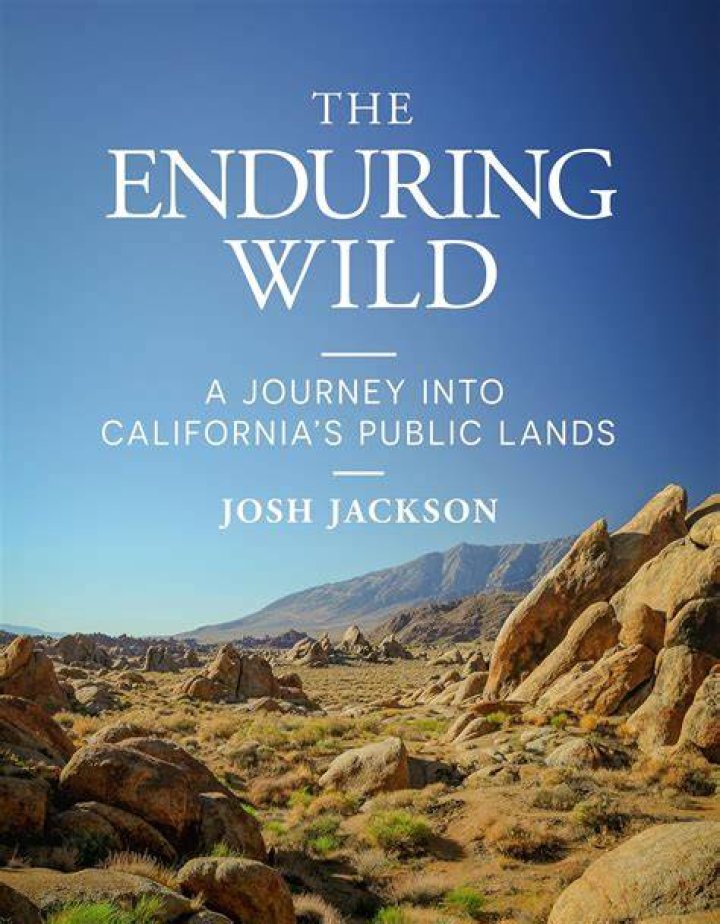 A Journey Of Bold Choices And Enduring Passion