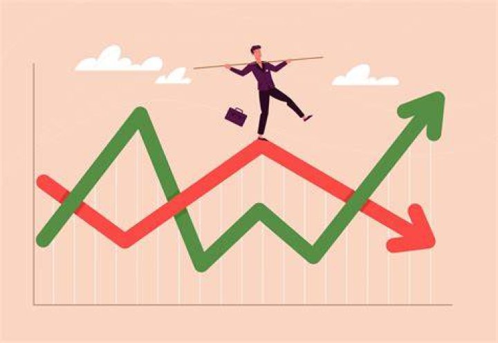 A Journey Of Financial Ups And Downs