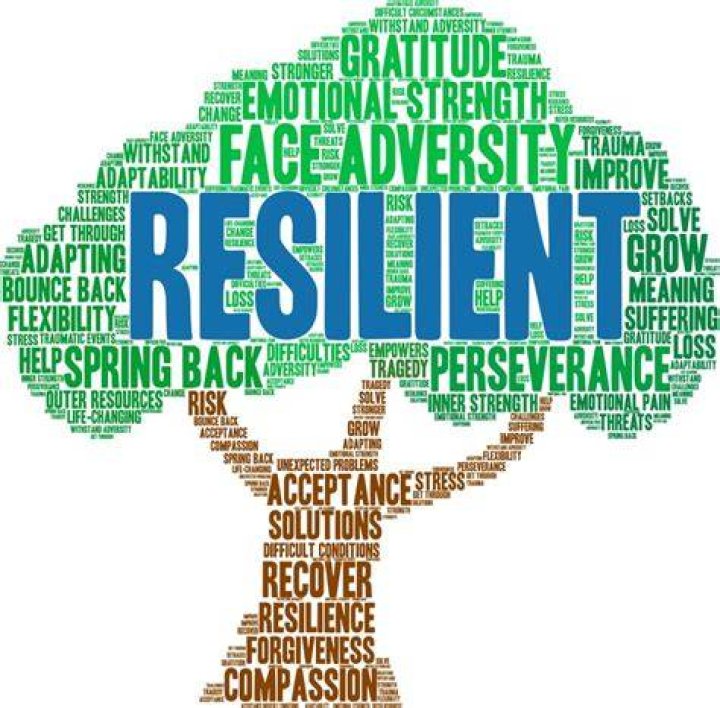 A Story Of Success And Resilience