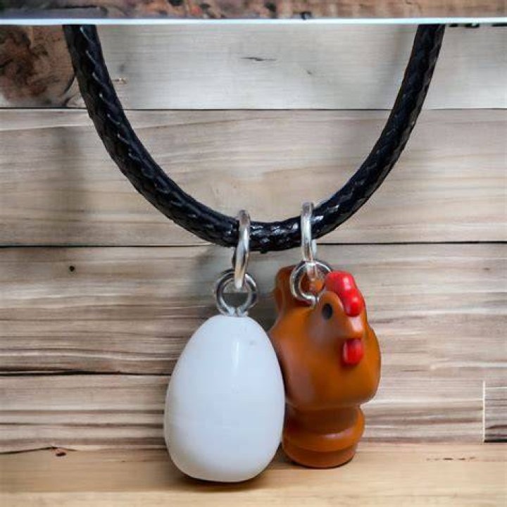 About Chicken & Egg Pictures Chicken & Egg Pictures