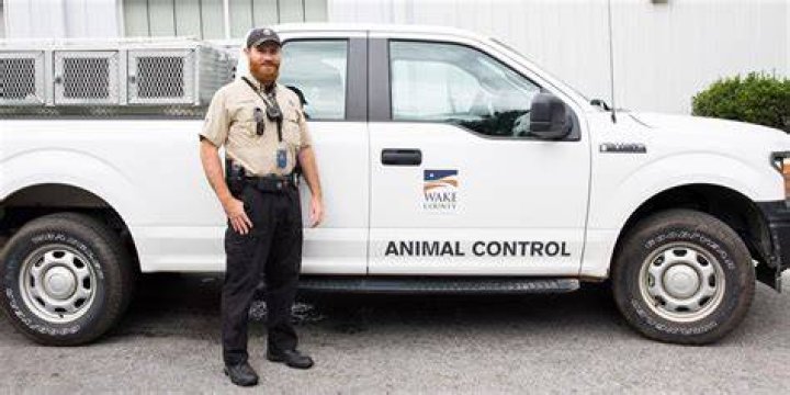 Animal Control Animal Control Photo Michael Rowland 5 sur 18
