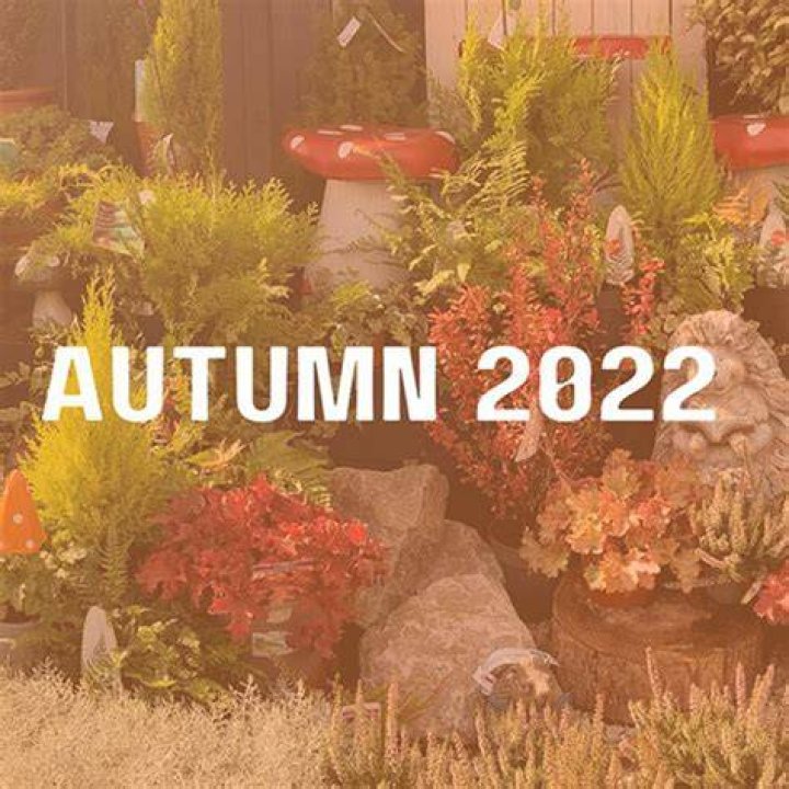 Autumn in 2022 Autumn the rapper, Cute rappers, Underground rappers