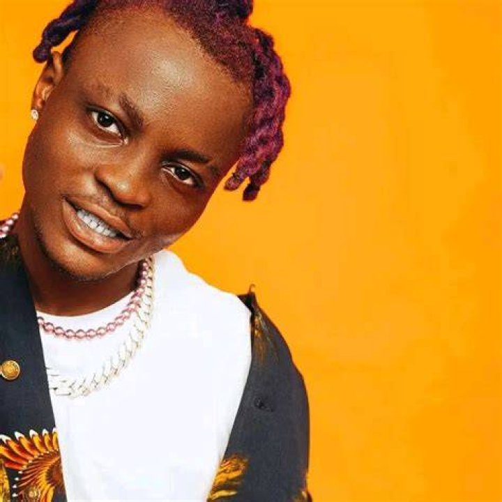 Balloranking Biography, Age, Family, Education, Career And Net Worth