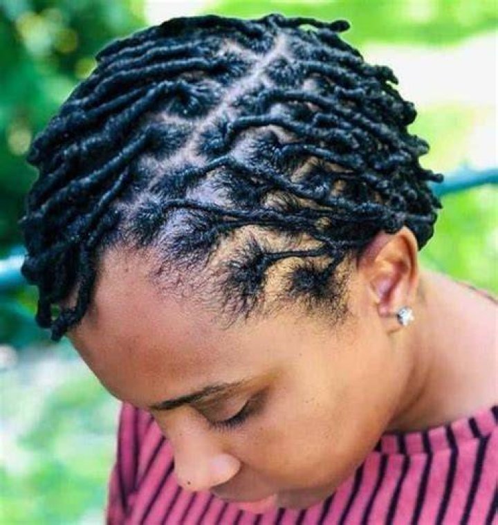 Beginner Dreads Natural hair styles, Dreads, Hair