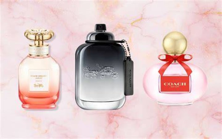 Best Coach Perfumes For Women & Men