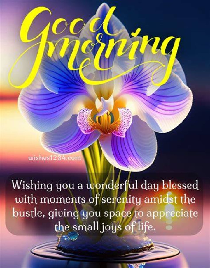 Best Good Morning Blessings Images With Quotes & Wishes