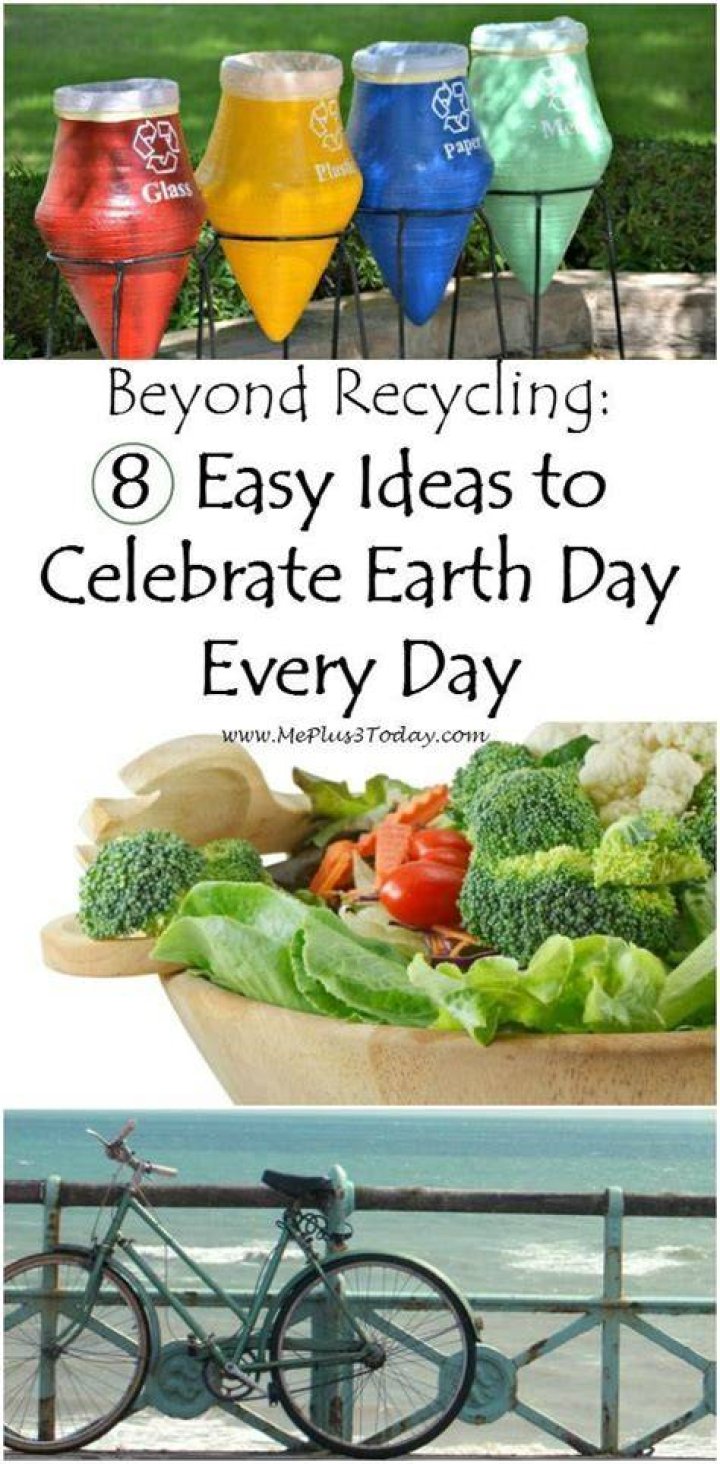 Beyond Recycling 8 Easy Ideas to Celebrate Earth Day Every Day Lorax