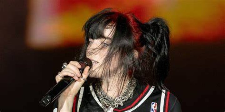 Billie Eilish's Roots, Fortune, And Creative Journey