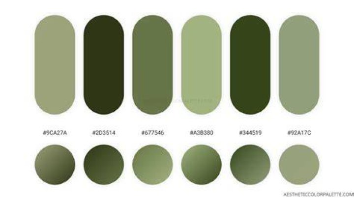 Both grass color codes, path/sand color code, Snow color code and Water