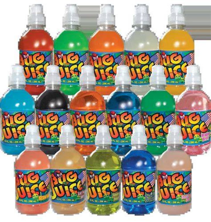 Bug Juice Where Are They Now? What Happened to The Bug Juice Cast Now