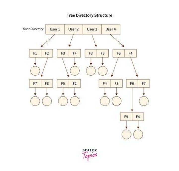 Directory Tree