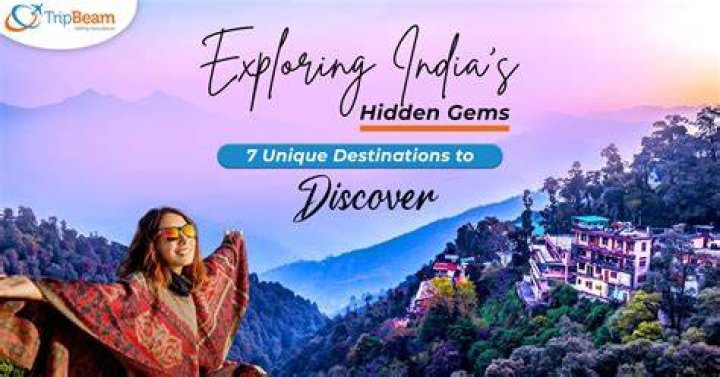 Discover the Hidden Gems of Lafayette California's Charming Oasis