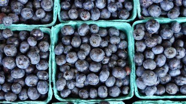 Discover The Hidden Secrets Of Blueberries Inside
