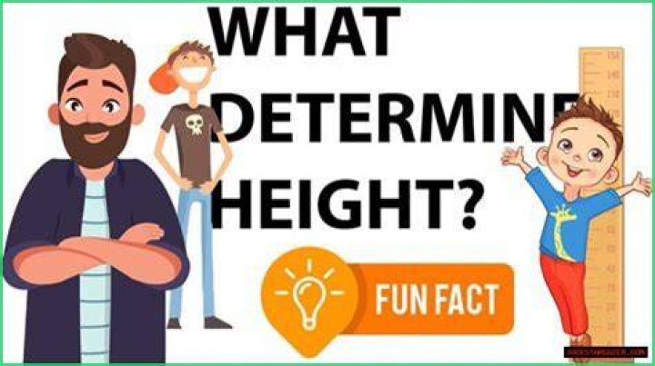 Exploring Age, Height, Weight, Relationships, And Beyond