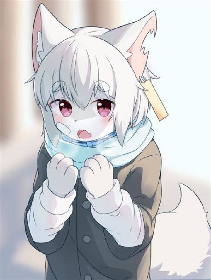 Furrybooru