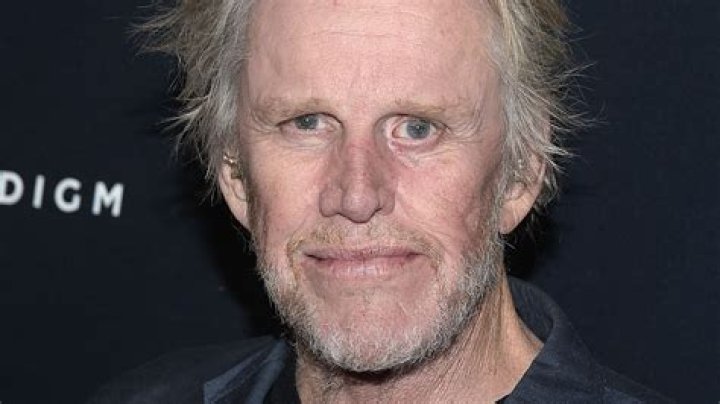 Gary Busey 'I passed away after brain surgery. Then I came back