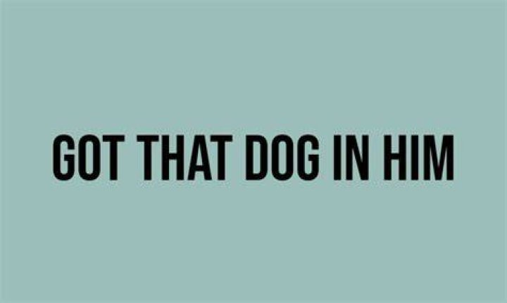 Got That Dog In Him Trending Videos Gallery Know Your Meme