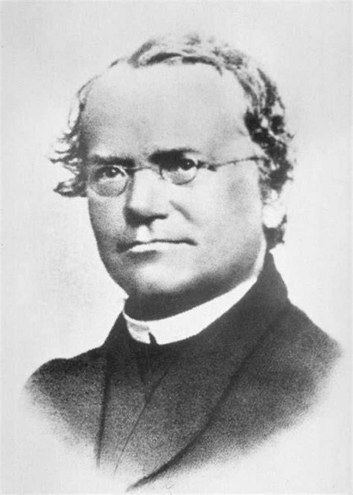 Gregor Mendel Missing the Forest for the Tree A Worldview Grounded