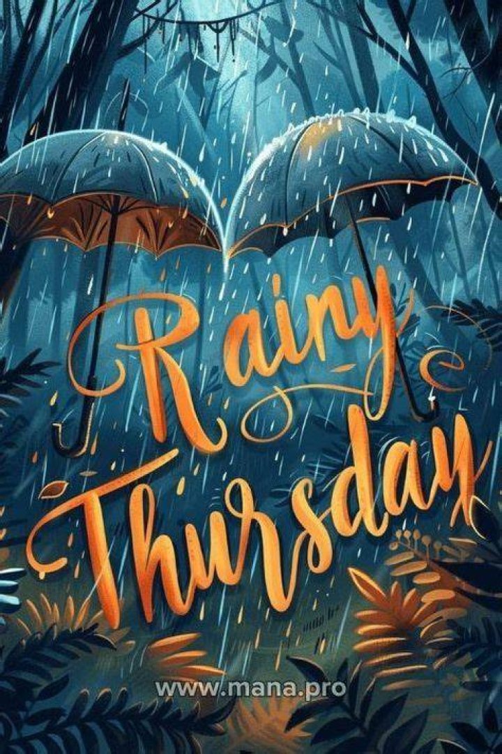 Happy Rainy Thursday! beblessed ☺️☔️ Good Morning Rainy