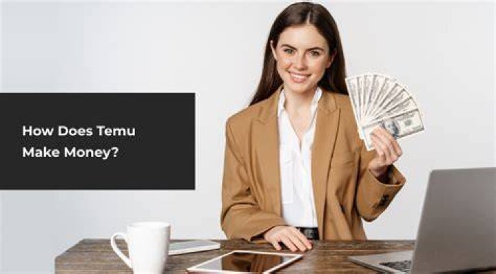 How Does Temu Make Money? Dissecting Its Business Model