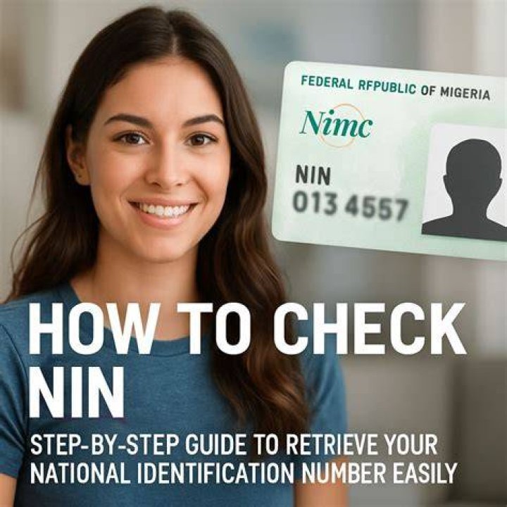 How To Check My NIN Number Online BrowsingTechZone Free Browsing