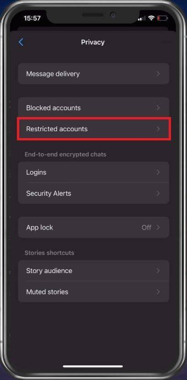 How to Find Restricted Accounts on Instagram? FreewaySocial