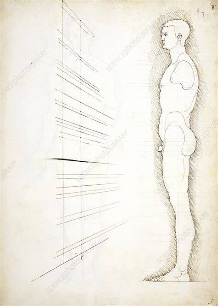 Human Proportions Study. Meg Starling 1. by WaffleJockey Tall women