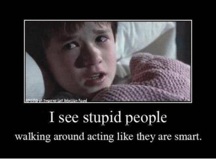 I See Stupid Memes All the Time...65 of Them and Not in My Dreams!