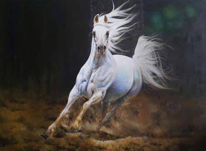 Incredible Compilation of Over 999+ Powerful Images HighQuality