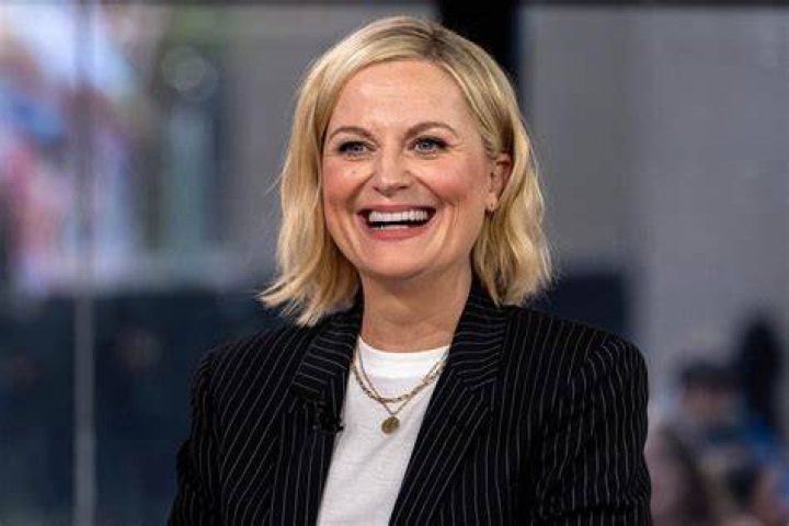 Is This Why Amy Poehler And Will Divorced?