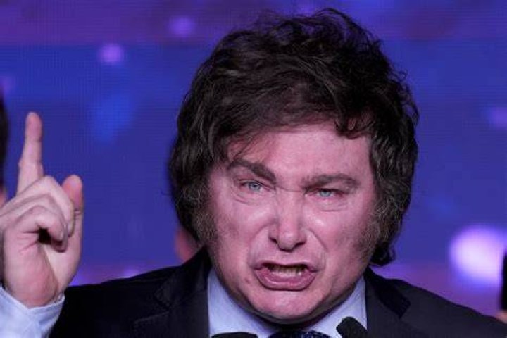Javier Milei confirm&oacute; que est&aacute; preparando su candidatura para ser