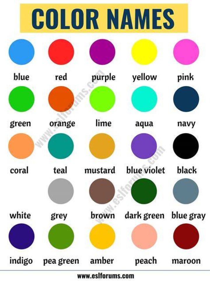 Learning Color Names Colors for Babies to Learn with Picture Baby