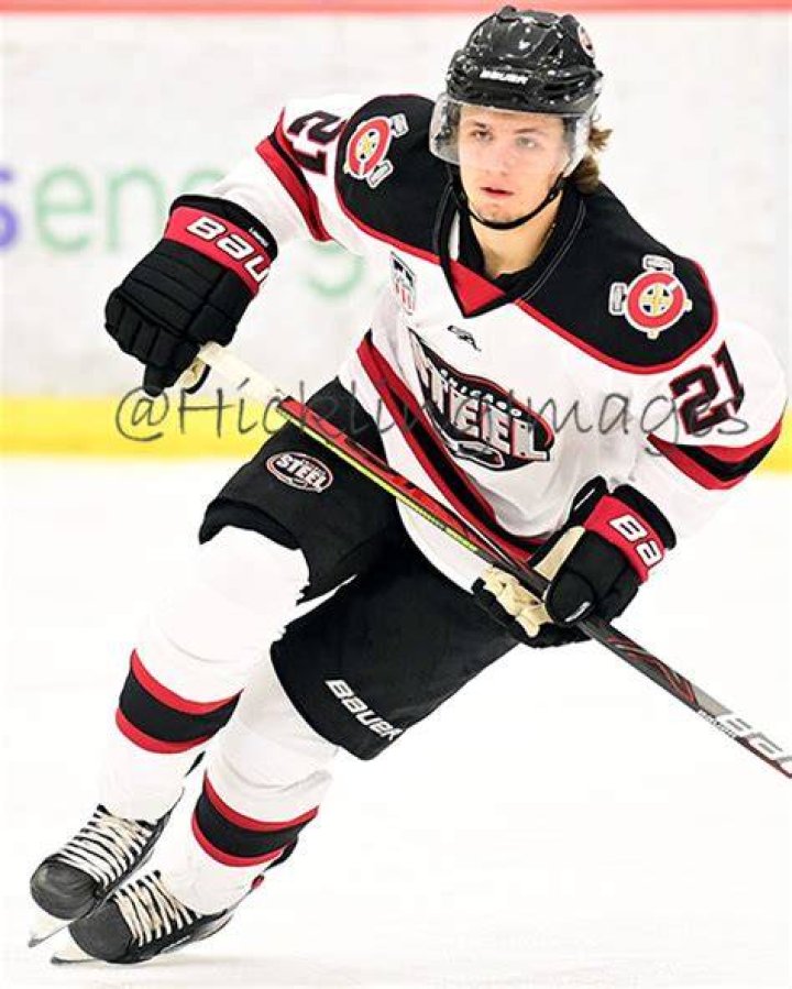 Luca Fantilli Stats, Contract, Salary & More