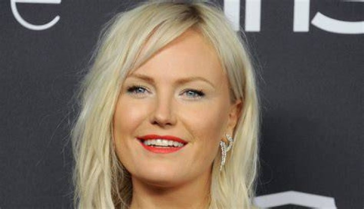 Malin Akerman Net Worth March 2024, Salary, Age, Siblings, Bio