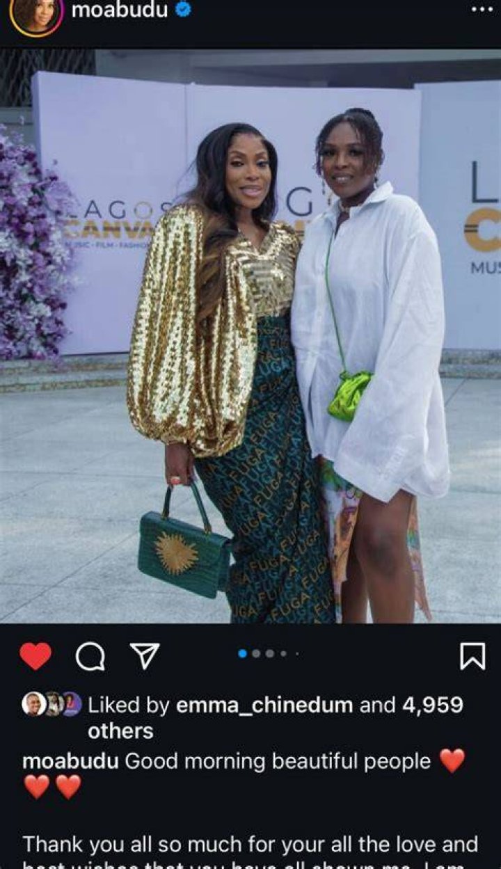 Mo Abudu Celebrates Her 56th Birthday In Style &raquo; NaijaVibe