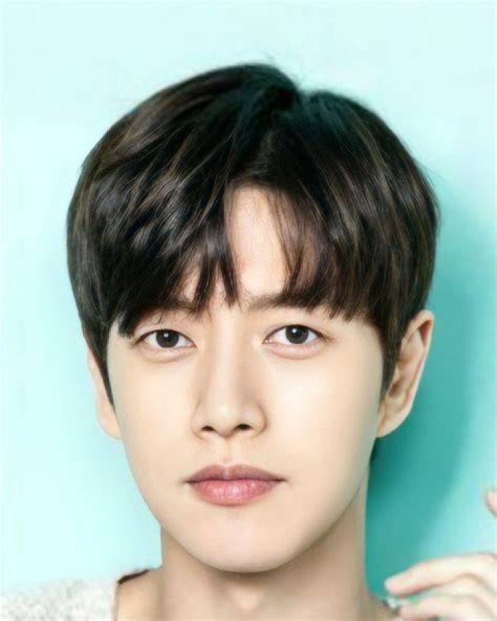 Park Hae Jin Before Plastic Surgery