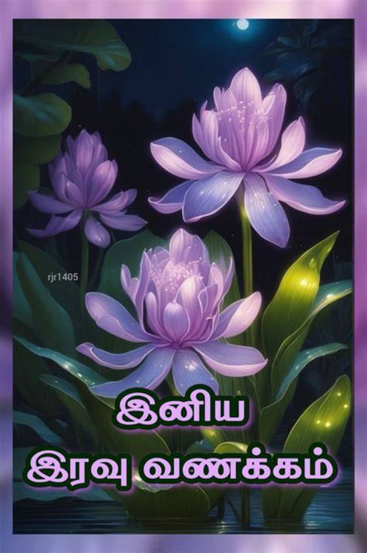 Pin by Aneethaam on Good evening in 2021 Evening pictures, Good