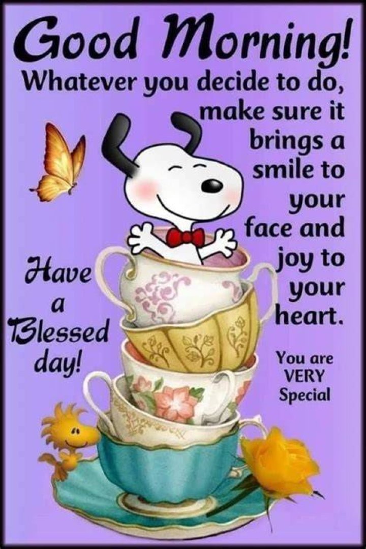 Pin by Lana Willard on Morning quotes funny, Good day quotes, Good