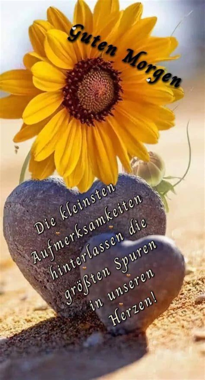 Pin by Mary on Guten gute Nacht ☆ Good Morning Good Night