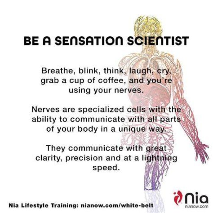 Pin on Sensation Science