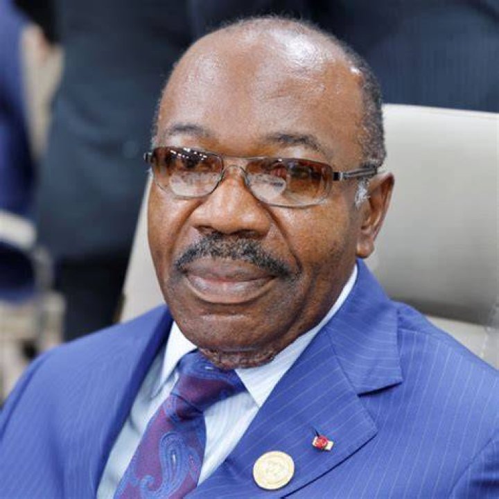 President Ali Bongo Ondimba Net Worth First Lady Inge Bongo