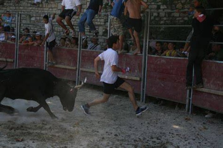 PsBattle Man running from a Hippo