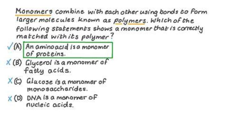 Question Video Identifying the Monomer Units in Nucleic Acid Polymers