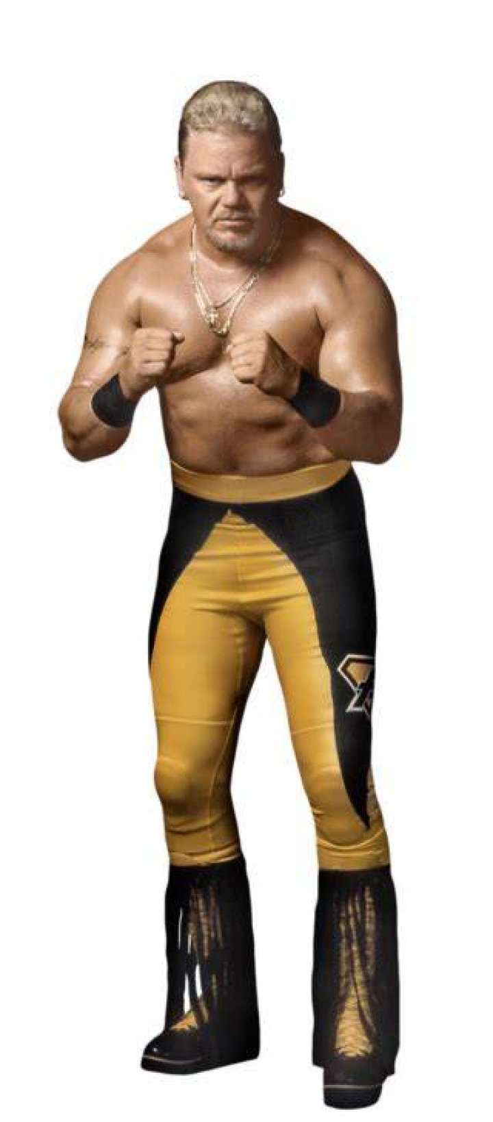 Shane Douglas WWE