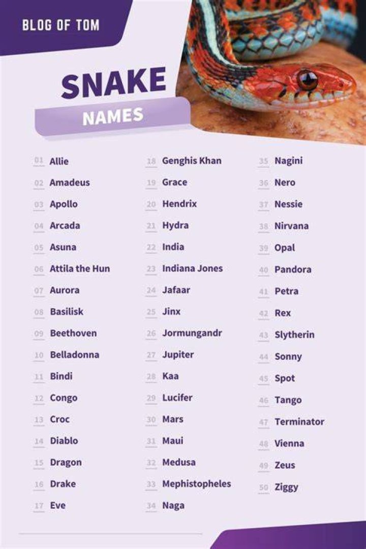 Snake Names Funny Female Names, Funny Snake Names, Lizard Names, Funny